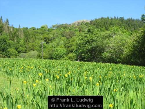 Around Glencar Lake